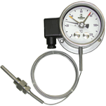 Indicating Temperature Switches
